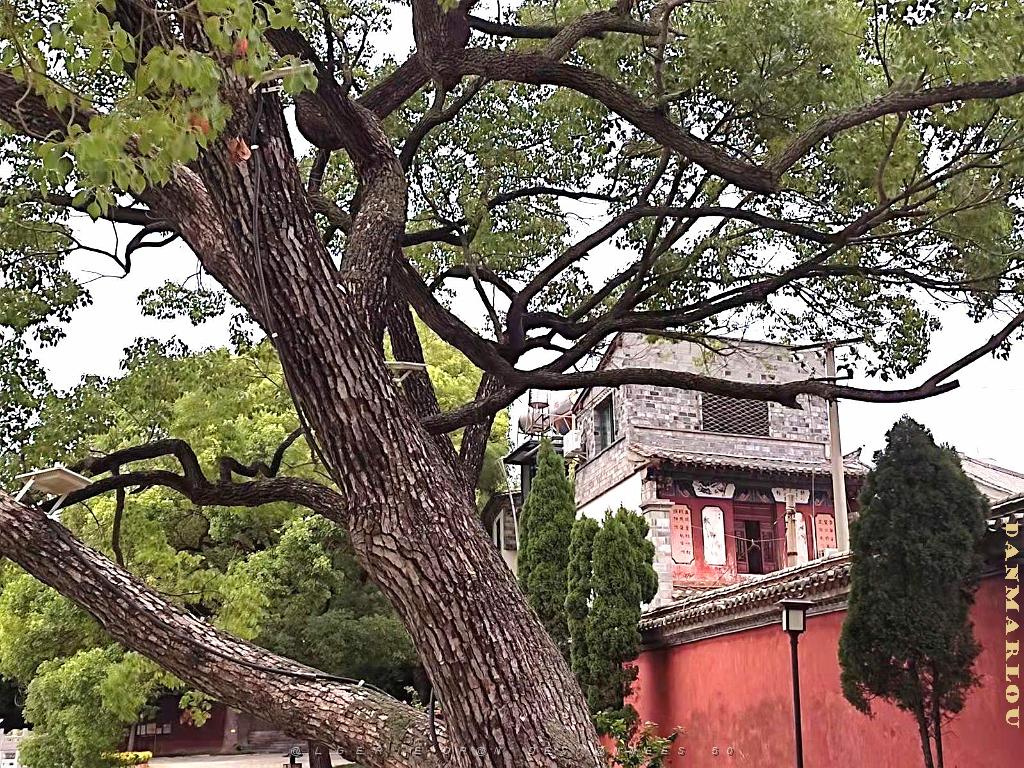 JIUNSHUI TEMPLE DE CONFUCIUS (39).jpg